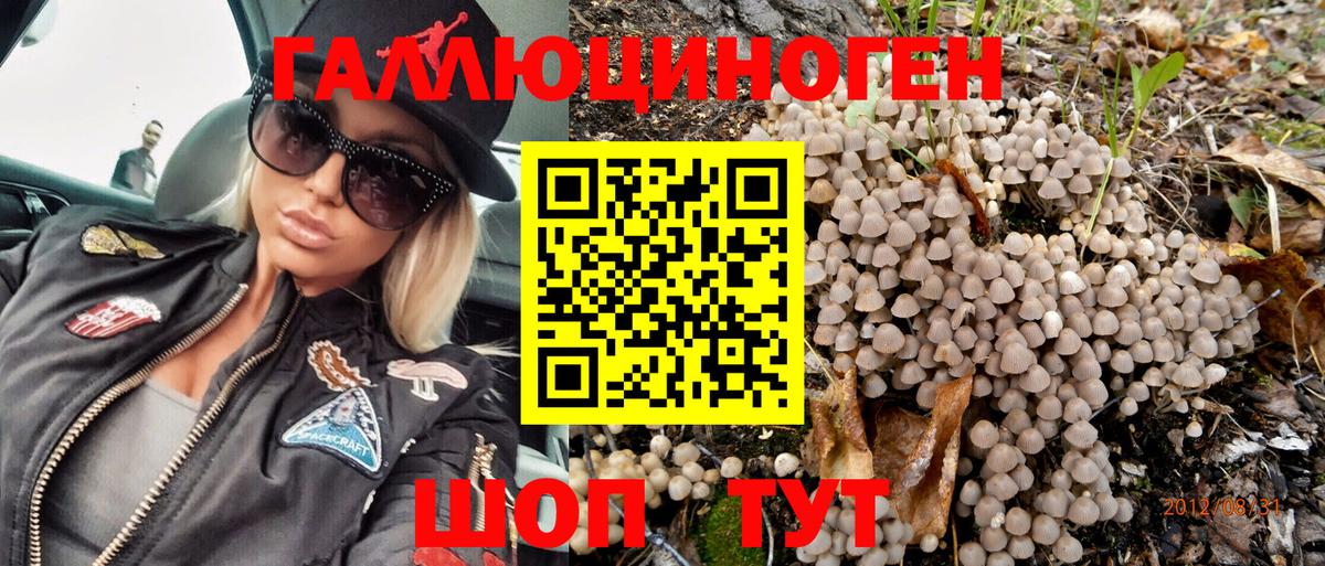 Галлюциногенные грибы GOLDEN TEACHER Карпинск